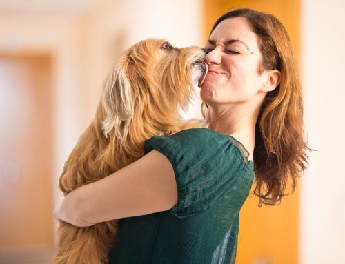 “What’s That Smell?” Get to the Bottom of Your Pet’s Bad Breath